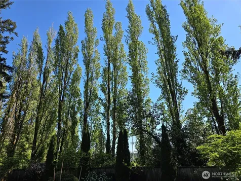 313 NE 191 Street Shoreline WA 98155