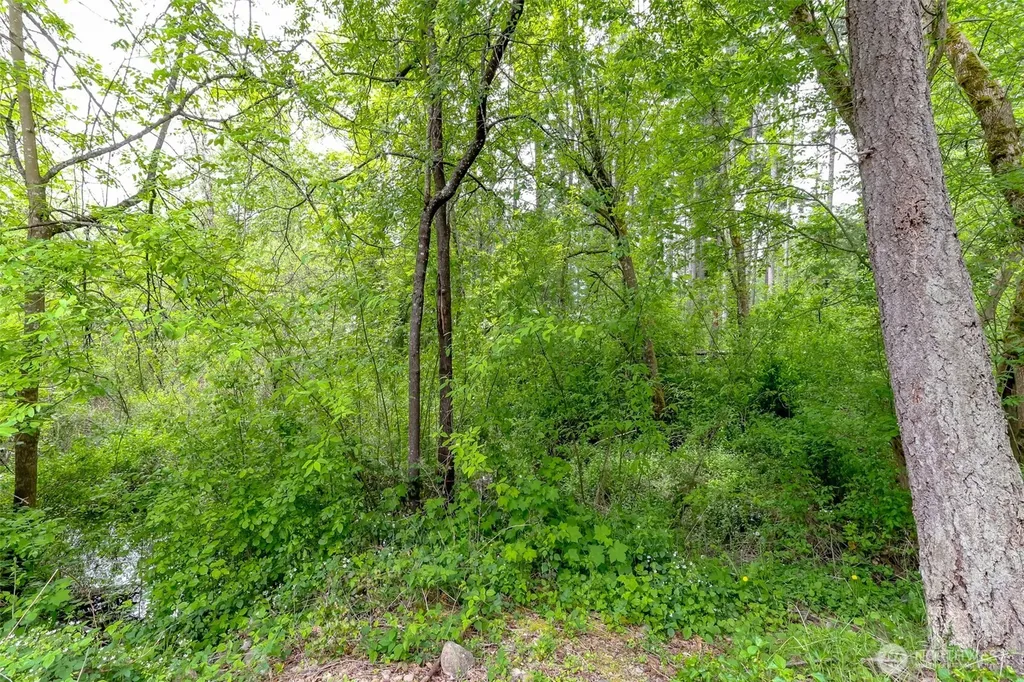 4911 255th Street Ct E Graham WA 98338
