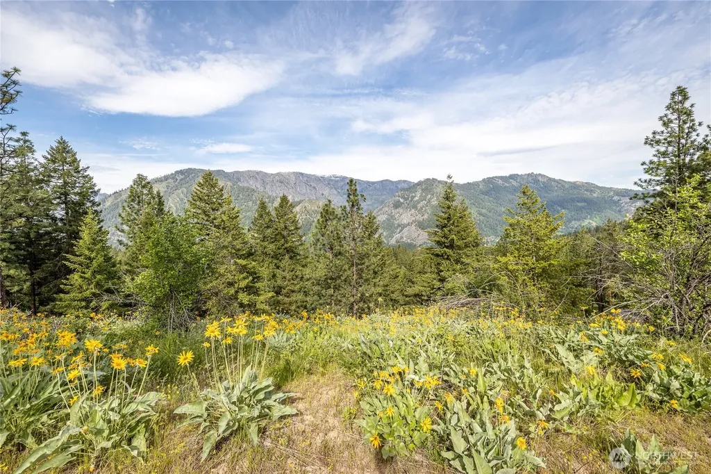 329 First Grade Road Leavenworth WA 98826