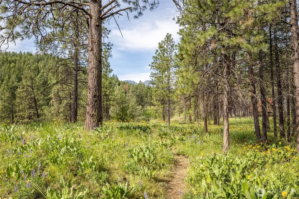 329 First Grade Road Leavenworth WA 98826