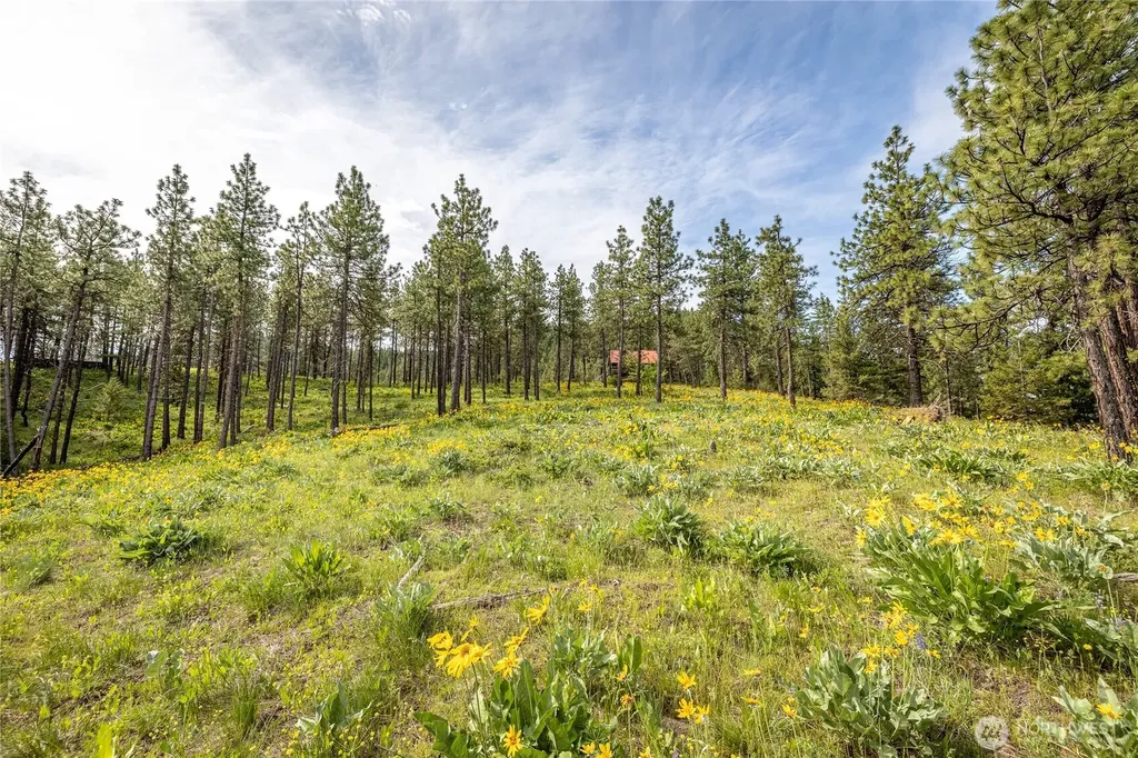 329 First Grade Road Leavenworth WA 98826