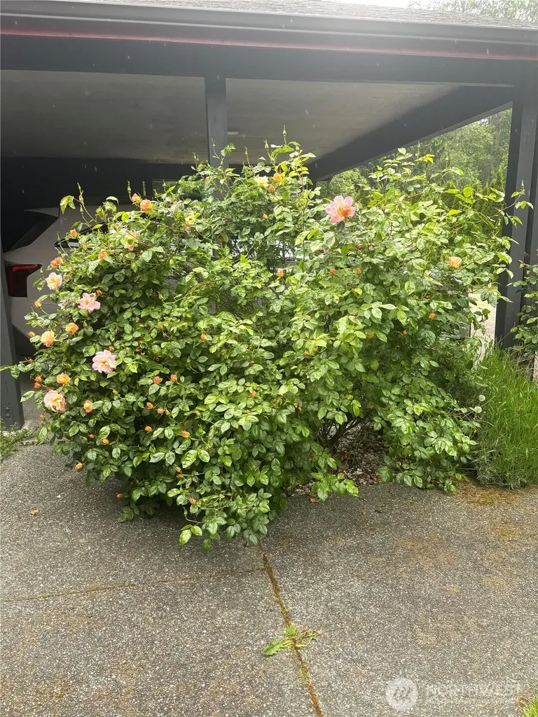 431 Fasola Sequim WA 98382