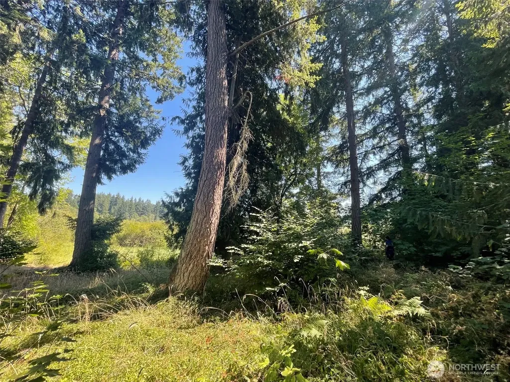 17616 SE Vine Lane Yelm WA 98597