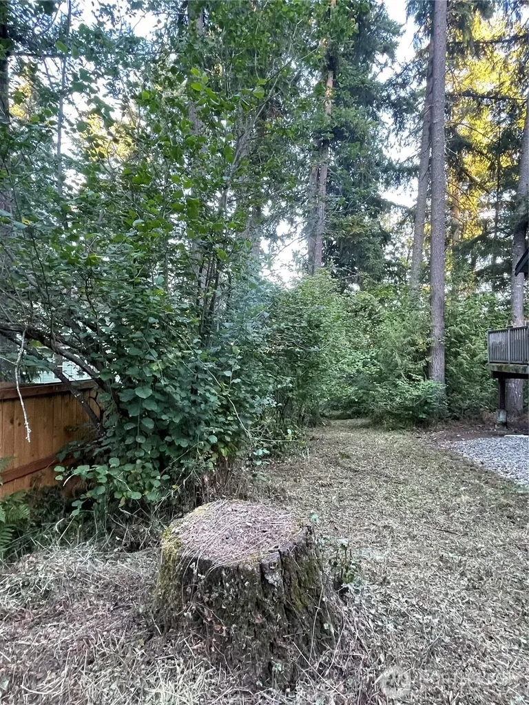 17616 SE Vine Lane Yelm WA 98597