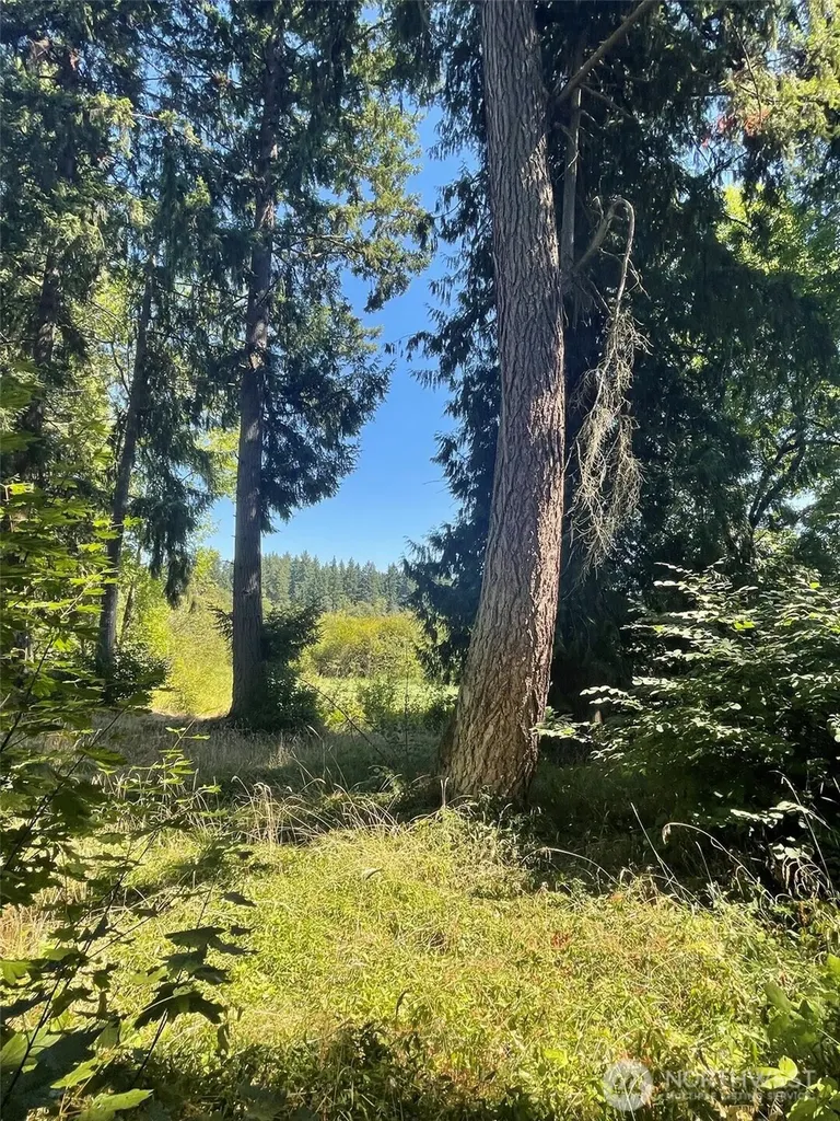 17616 SE Vine Lane Yelm WA 98597