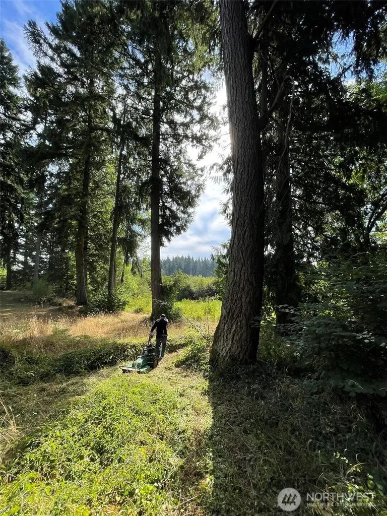 17616 SE Vine Lane Yelm WA 98597