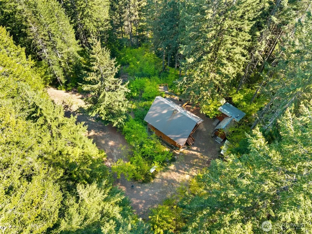 2500 4 Peaks Drive Cougar WA 98616
