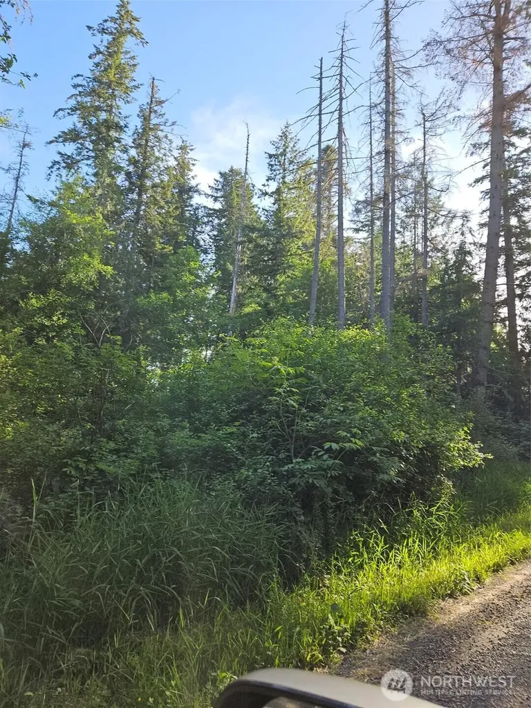 5033 Polehn Road SW Rochester WA 98579