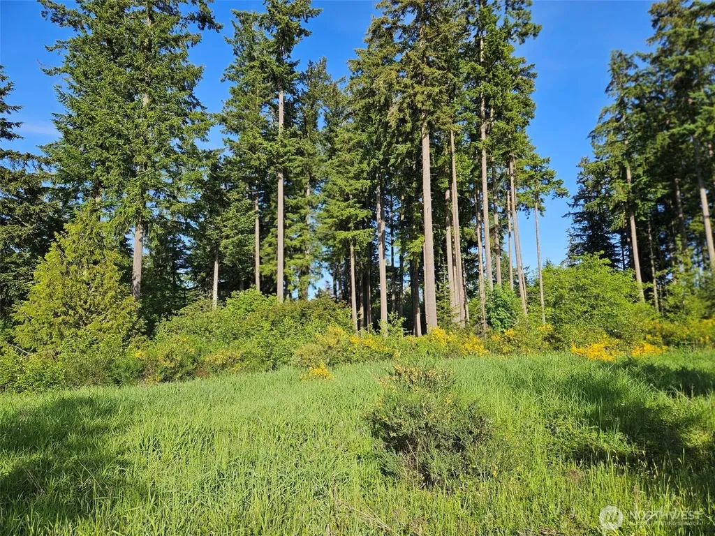 5033 Polehn Road SW Rochester WA 98579