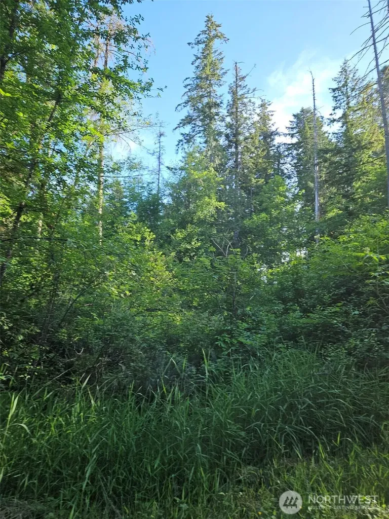 5033 Polehn Road SW Rochester WA 98579
