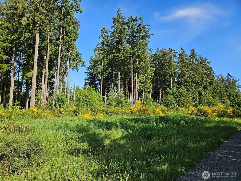 5033 Polehn Road SW Rochester WA 98579
