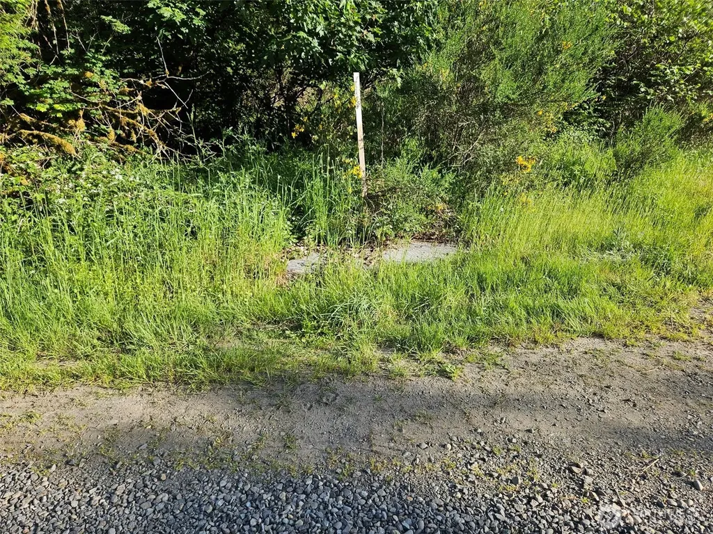 5033 Polehn Road SW Rochester WA 98579