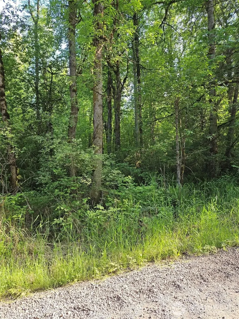5033 Polehn Road SW Rochester WA 98579