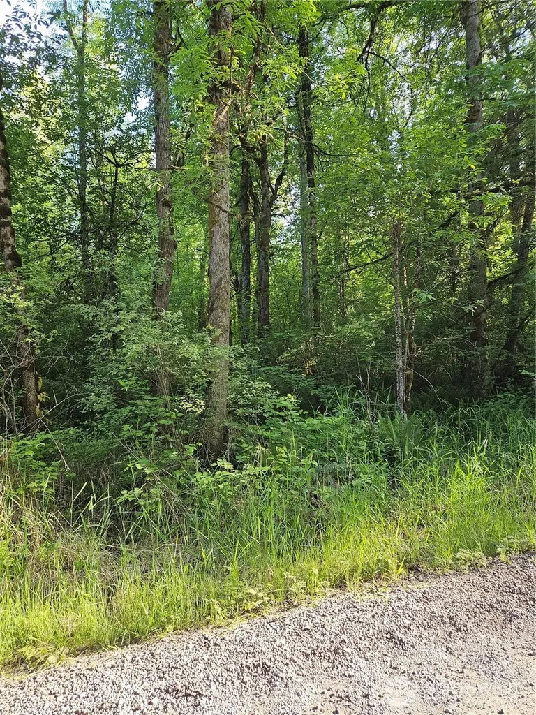 5033 Polehn Road SW Rochester WA 98579