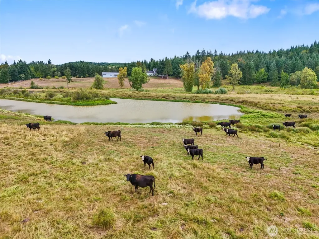437 Ingalls Road Rochester WA 98579