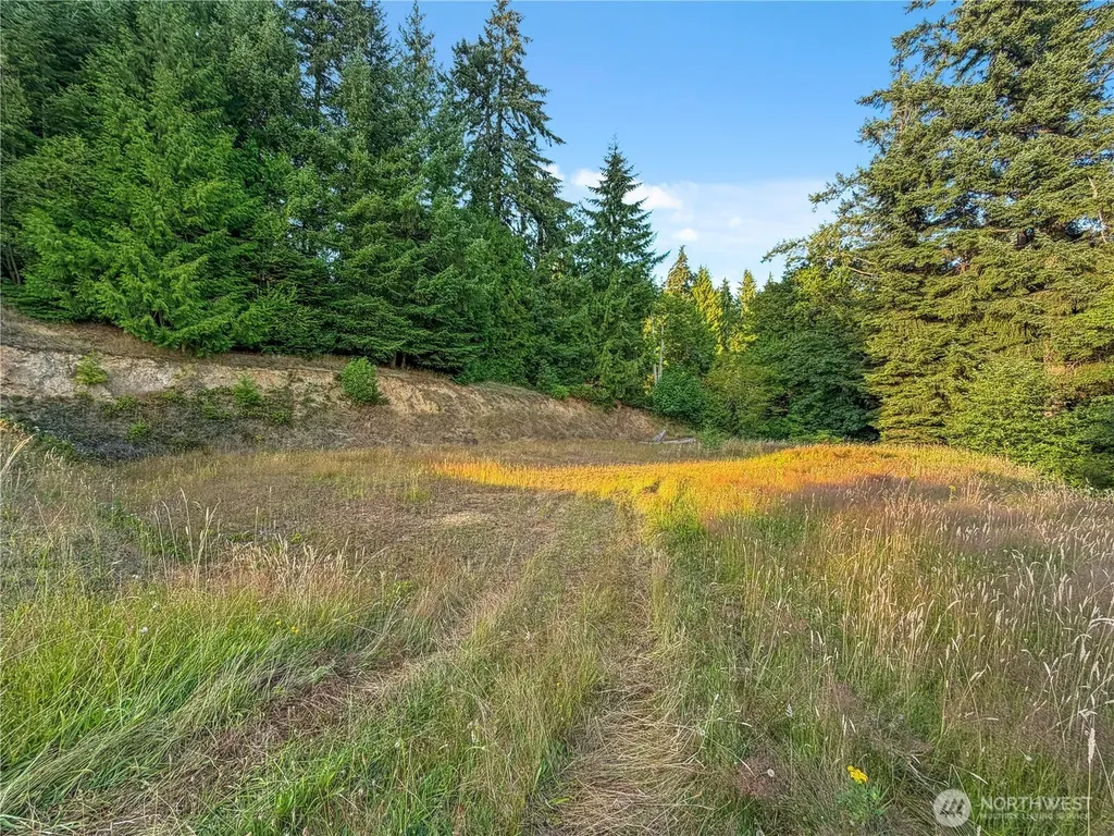 26 Riverview East Road Cathlamet WA 98612