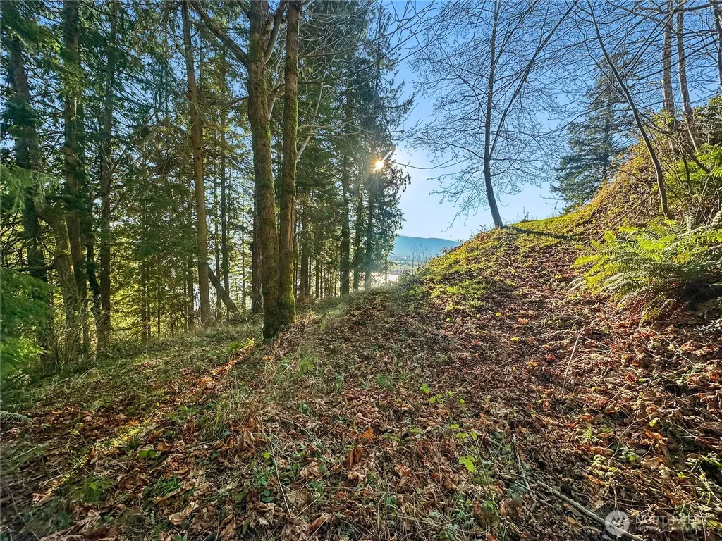 26 Riverview East Road Cathlamet WA 98612