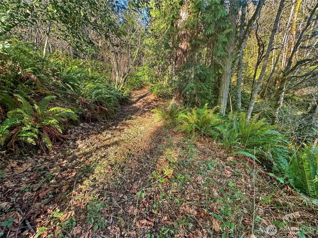 26 Riverview East Road Cathlamet WA 98612