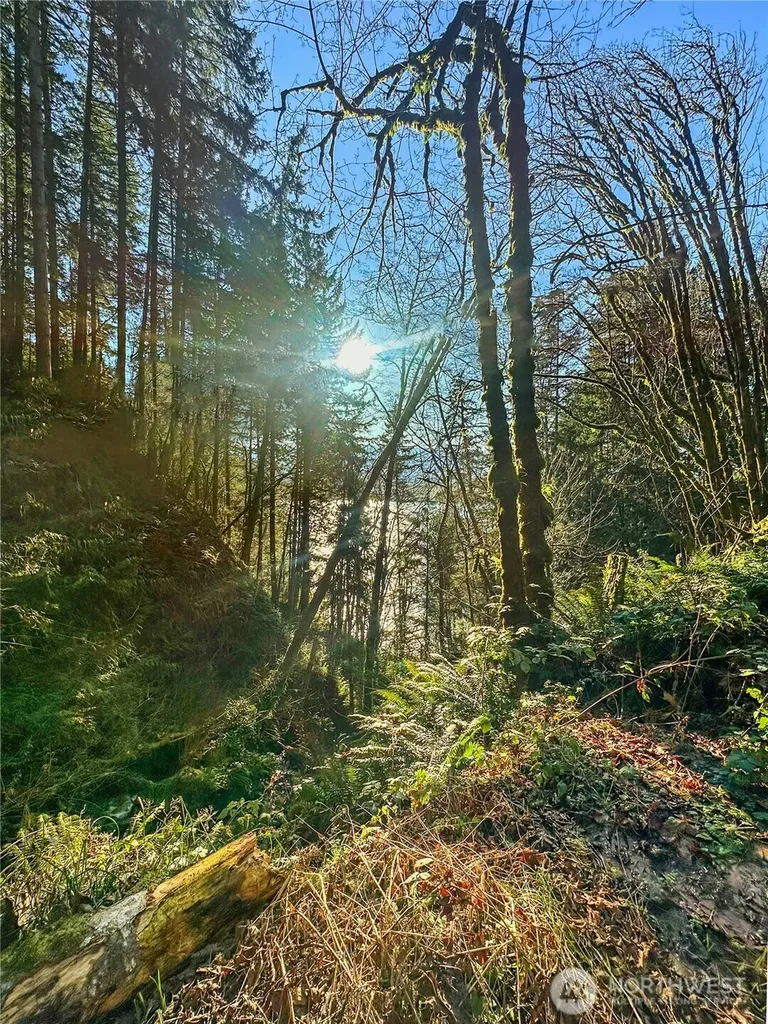 26 Riverview East Road Cathlamet WA 98612