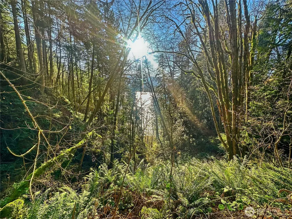 26 Riverview East Road Cathlamet WA 98612