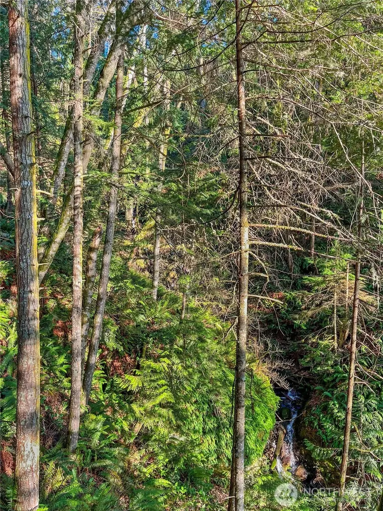 26 Riverview East Road Cathlamet WA 98612