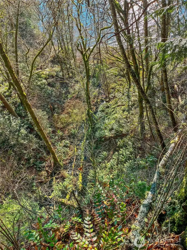 26 Riverview East Road Cathlamet WA 98612