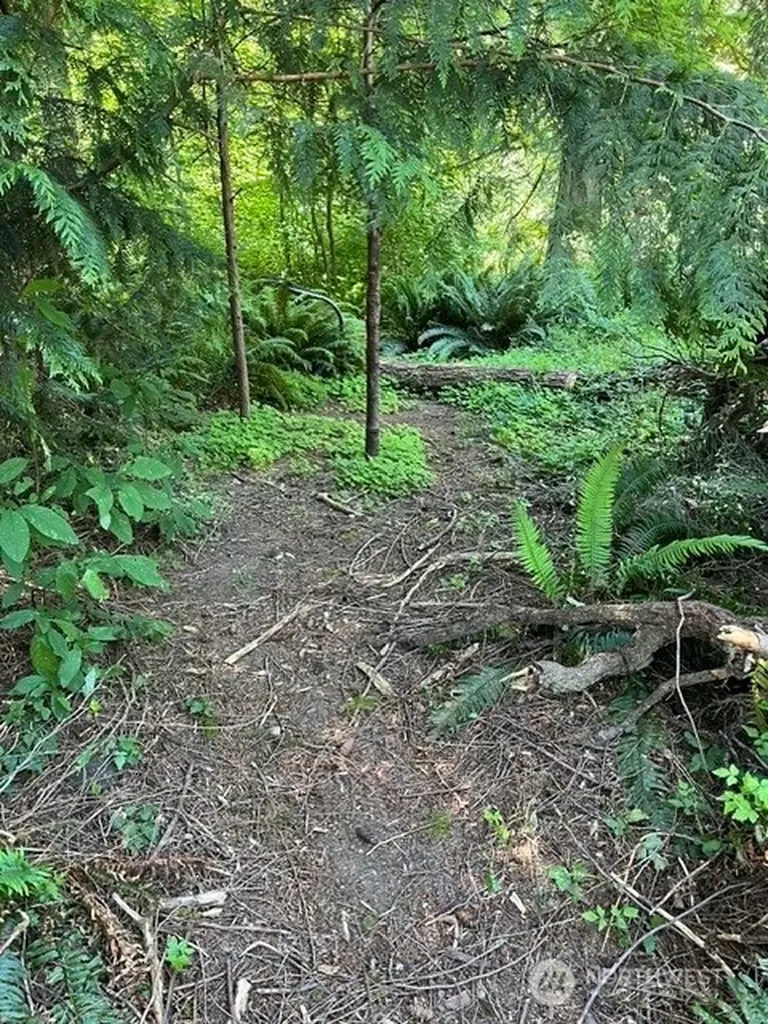 74 Lake Louise Drive Bellingham WA 98229