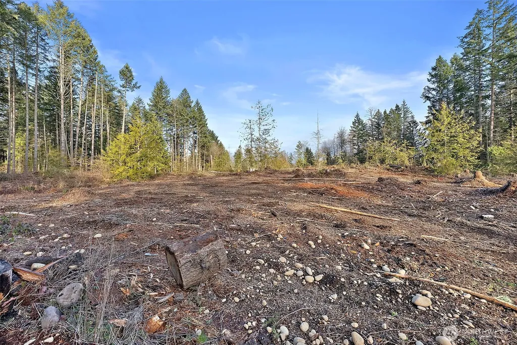 30201 S Creek Road E Graham WA 98338