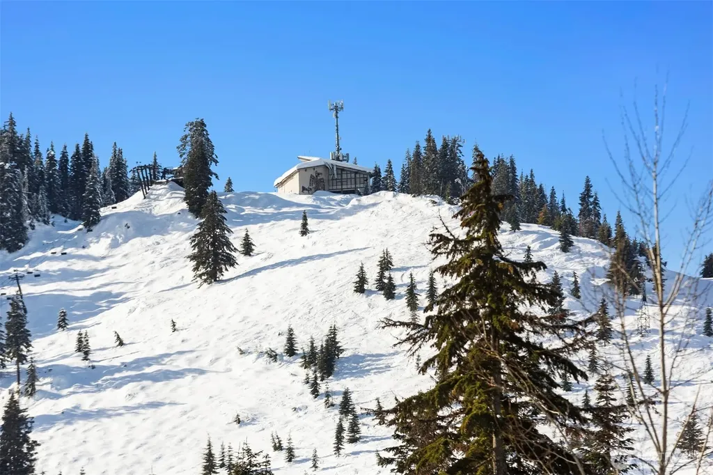 3 Kendall Peak Way Snoqualmie Pass WA 98068
