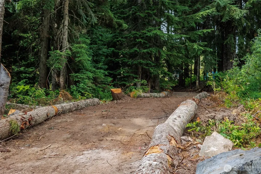 3 Kendall Peak Way Snoqualmie Pass WA 98068