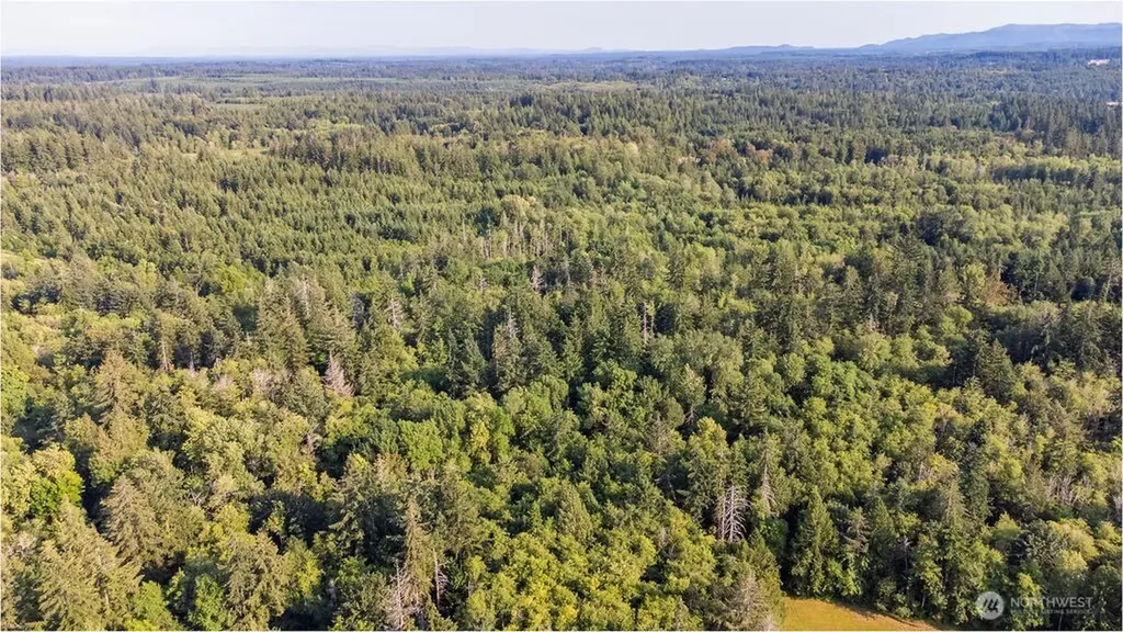 1952 E Agate Road Shelton WA 98584