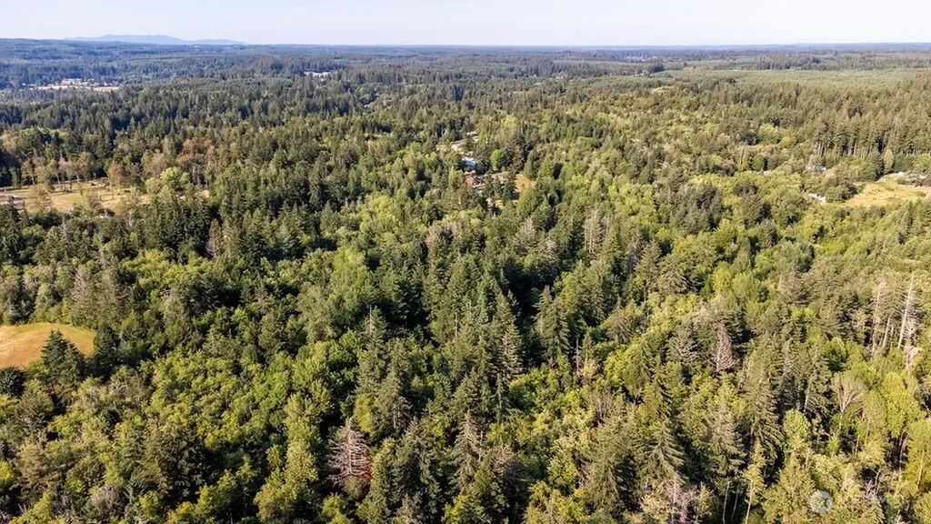 1952 E Agate Road Shelton WA 98584