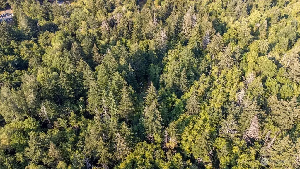 1952 E Agate Road Shelton WA 98584