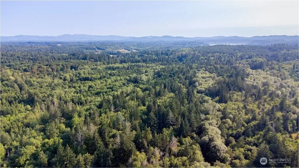1952 E Agate Road Shelton WA 98584