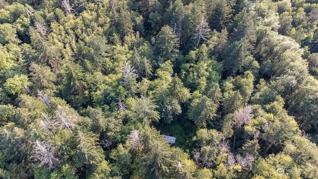 1952 E Agate Road Shelton WA 98584