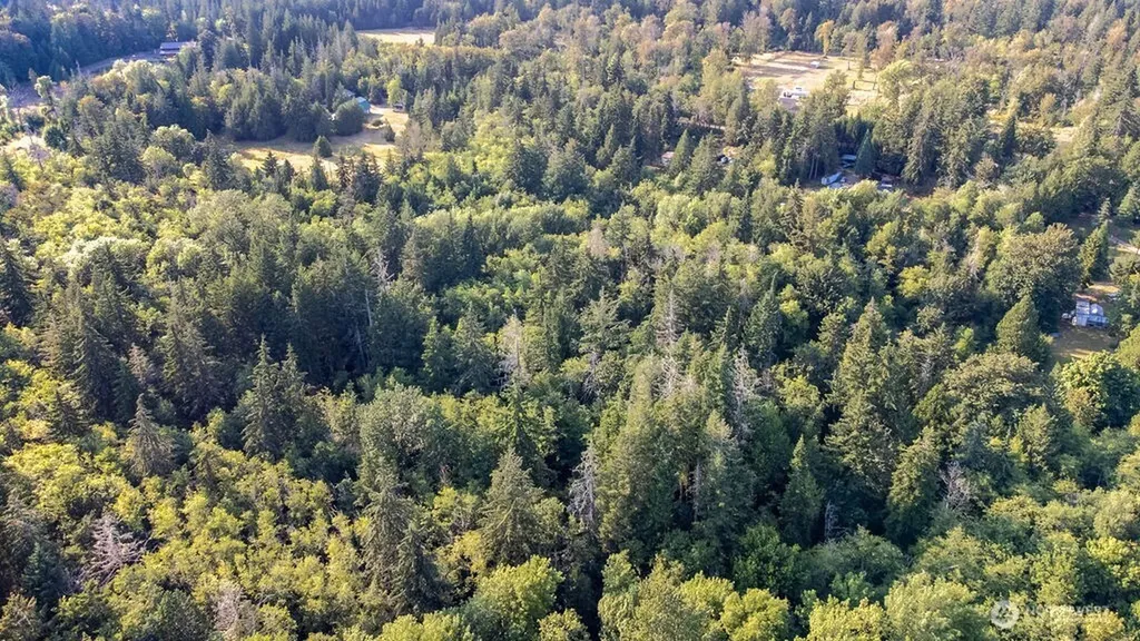 1952 E Agate Road Shelton WA 98584
