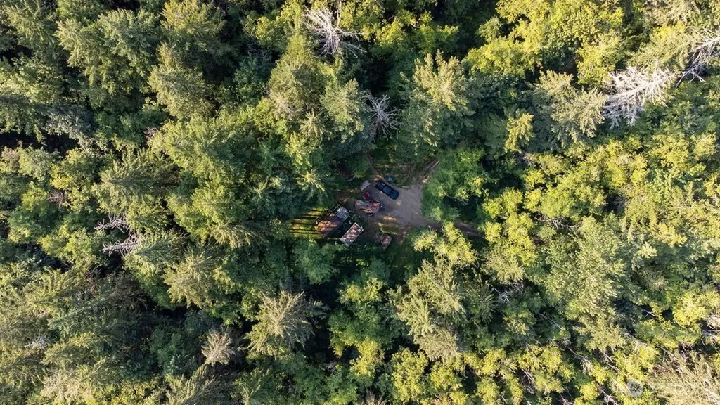1952 E Agate Road Shelton WA 98584