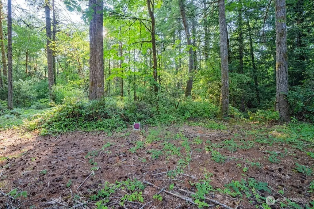 1952 E Agate Road Shelton WA 98584