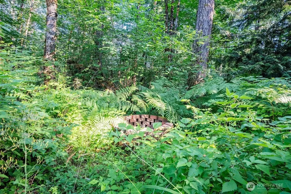 1952 E Agate Road Shelton WA 98584