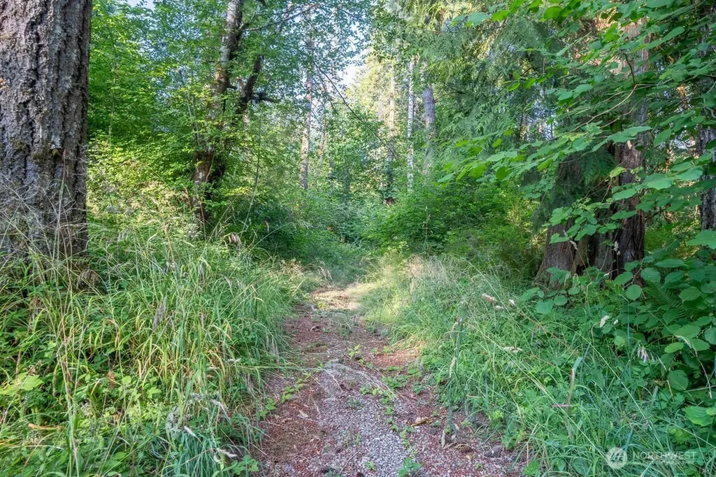 1952 E Agate Road Shelton WA 98584