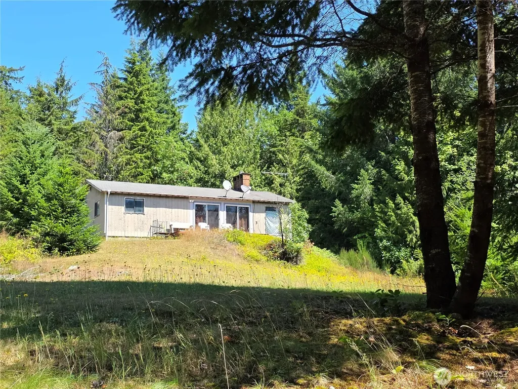 371 Green Mt Lane Brinnon WA 98320