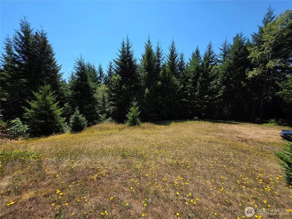 371 Green Mt Lane Brinnon WA 98320