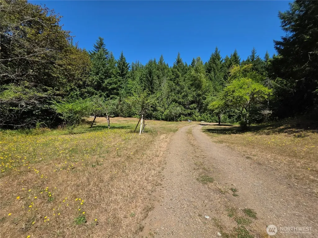 371 Green Mt Lane Brinnon WA 98320