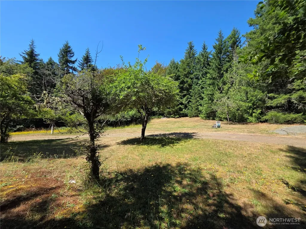 371 Green Mt Lane Brinnon WA 98320
