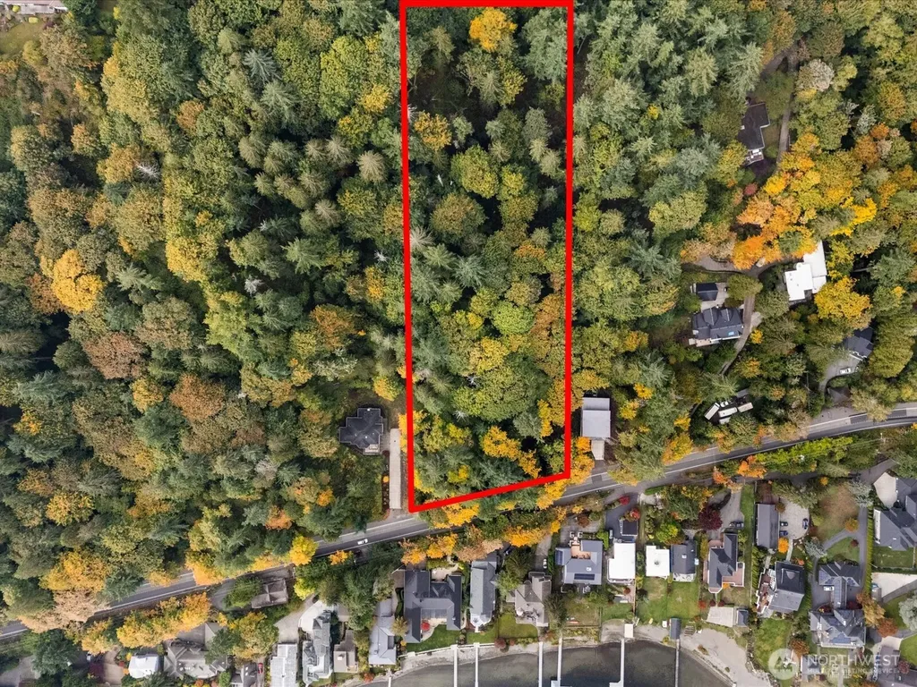 445 W Lake Sammamish Parkway SE Bellevue WA 98008