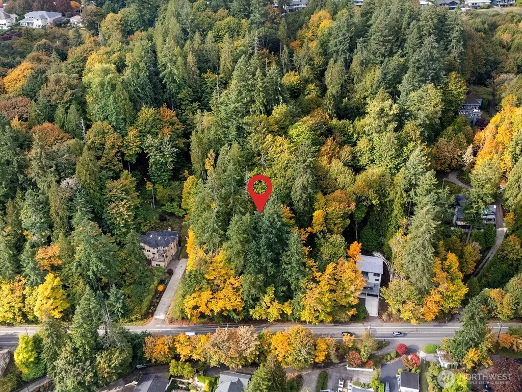 445 W Lake Sammamish Parkway SE Bellevue WA 98008