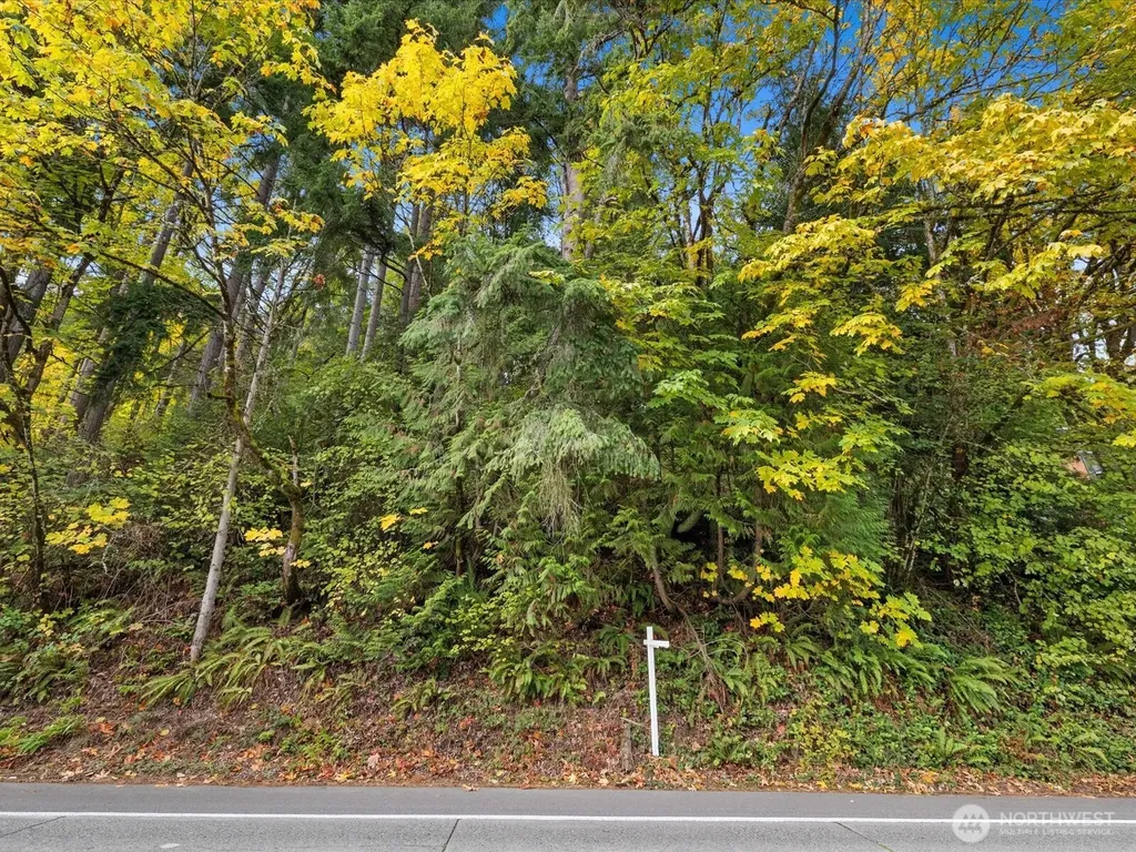 445 W Lake Sammamish Parkway SE Bellevue WA 98008