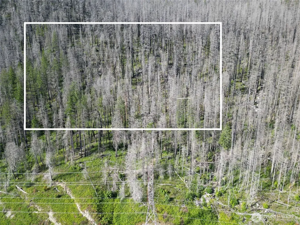 0 Skykomish Woods Skykomish WA 98288
