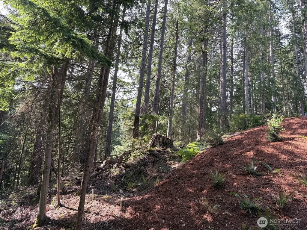 13 Oval Court Bellingham WA 98229