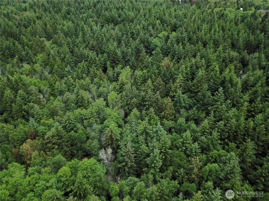 3 Romans Rd. Drive Port Townsend WA 98368